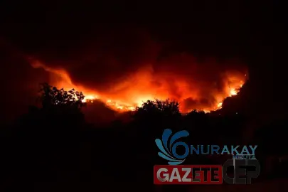 Bursa'da orman yangını alarmı: Alevler yerleşim yerlerine ulaştı, patlamalar ve geniş çaplı tahliyeler