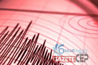 Büyük deprem! Tsunami uyarısı korku ve panik yarattı!