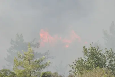 Türkiye yangınlarla boğuşuyor: 3 ilde alevlere karşı seferberlik! Bakan Yumaklı'dan kritik uyarı