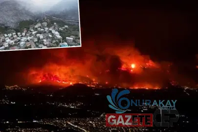 Türkiye'nin beş ilinde orman yangınları: Bursa, Karabük, Kahramanmaraş ve Uşak'ta mücadele sürüyor