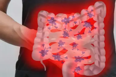 Tatil sonrası bağırsak dengesini nasıl sağlarsınız? İşte uzmanından altın değerinde tavsiyeler