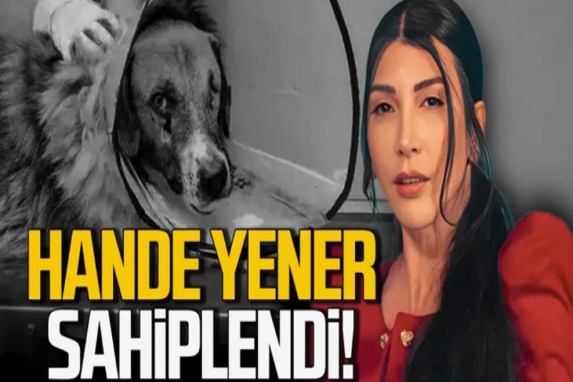 Hande Yener o köpeği sahiplenerek herkese örnek oldu!