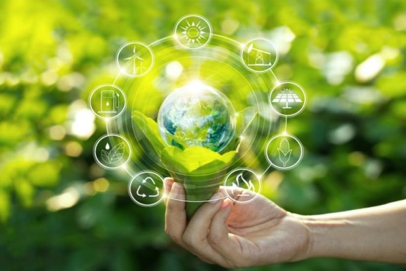 Hayvan dostlarımızın sağlığını koruyan Vegan içerikli temizlik ürünleri