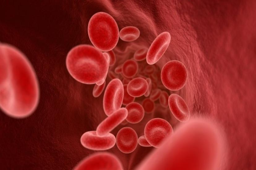 Hemofili, erken teşhis ve dikkatli yaşam tarzı ile yönetilebiliyor