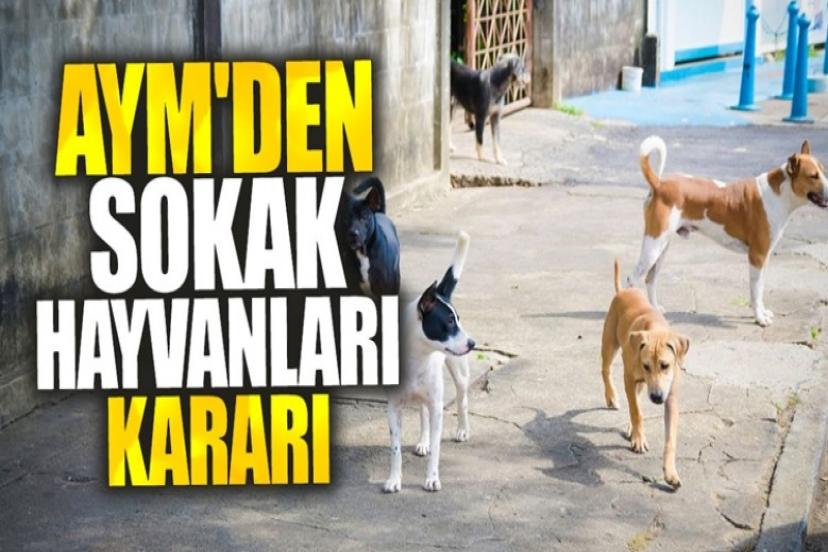 Gözler Anayasa Mahkemesi'ne çevrilmişti! İşte sokak hayvanları kararı!