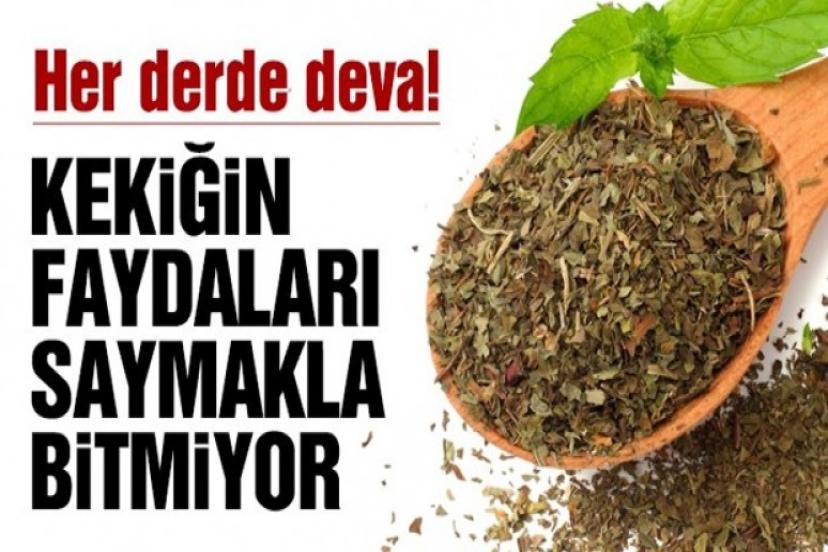 İşte doğal antibiyotik kekiğin faydaları!