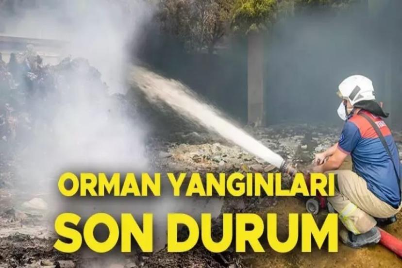 Kahramanmaraş ve Denizli yanıyor! Yangın çok genişlediği için söndürülemiyor...