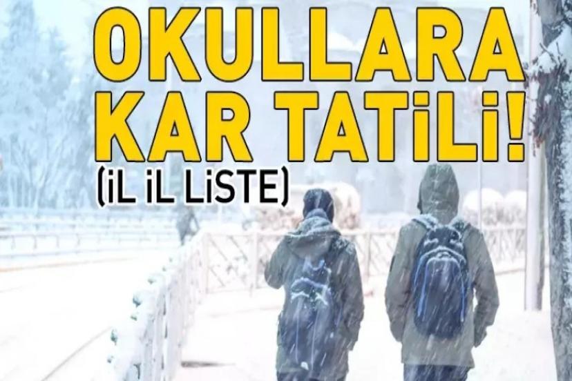 Kar engeli! Okullar hangi illerde tatil? Gümüşhane, Ordu, Nevşehir, Adana, Kayseri, Sivas, Hakkari...