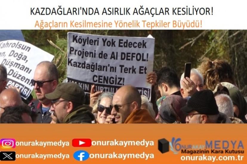 Ağaç Kıyımı! Kazdağları’nın eteklerindeki asırlık ağaçlar neden kesiliyor?