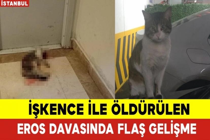 Kedi Eros'un katili ile ilgili flaş gelişme