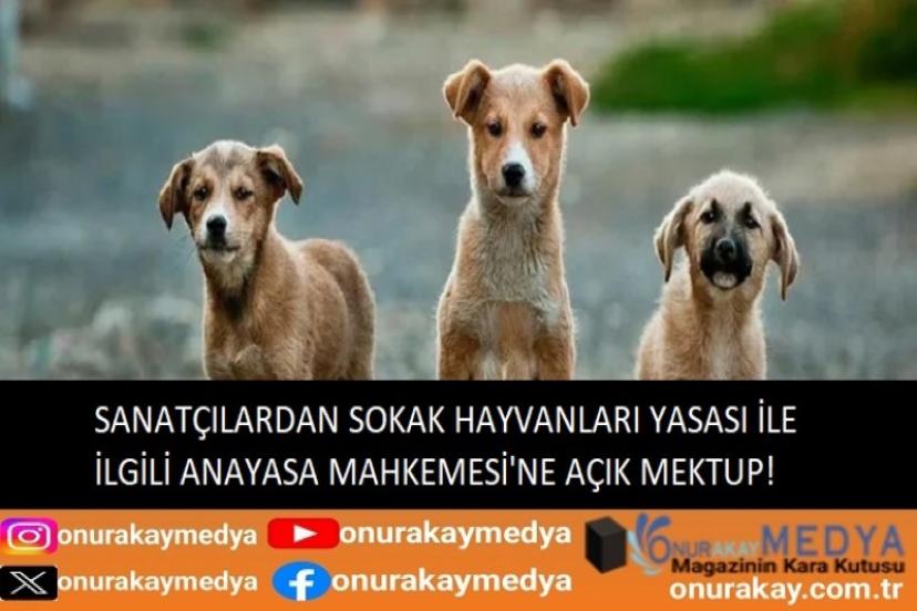 Sokak hayvanları yasasının iptali için Anayasa Mahkemesi’ne seslendiler!
