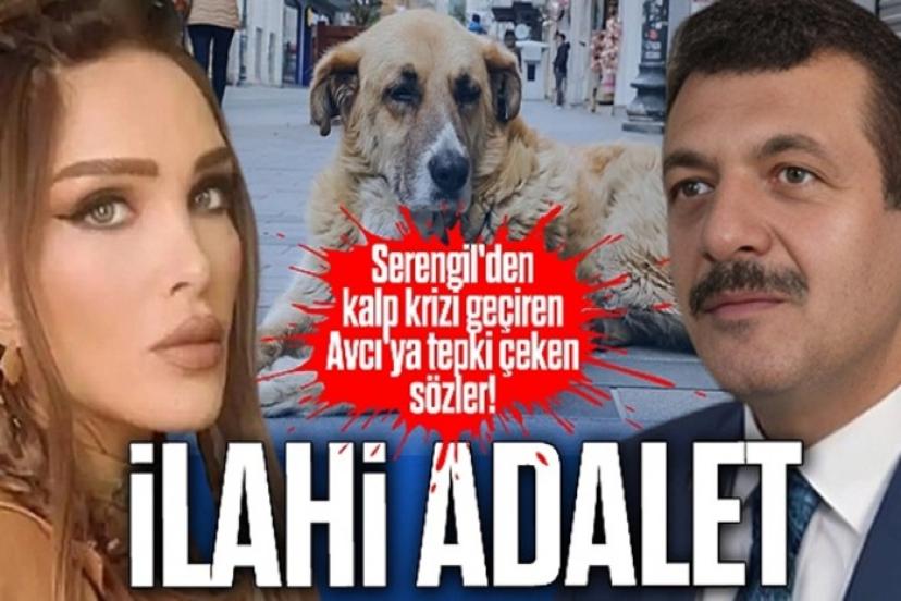 Seren Serengil’den hayvan yasasına onay verenlere beddua