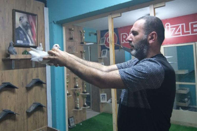Sevilen iş adamından ''Güvercin Okulu'' projesi