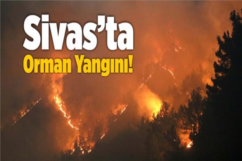 Sivas'tan gelen son dakika haberi üzdü! Yangın ormana sıçradı!