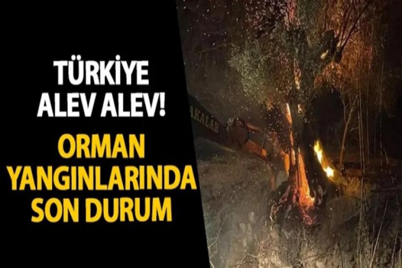 Türkiye orman yangınlarında son durum! Acil çağrı yapıldı...