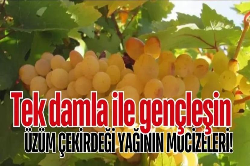 Üzüm çekirdeği yağının şaşırtıcı faydaları: Cilt, saç ve sağlık için doğal çözüm