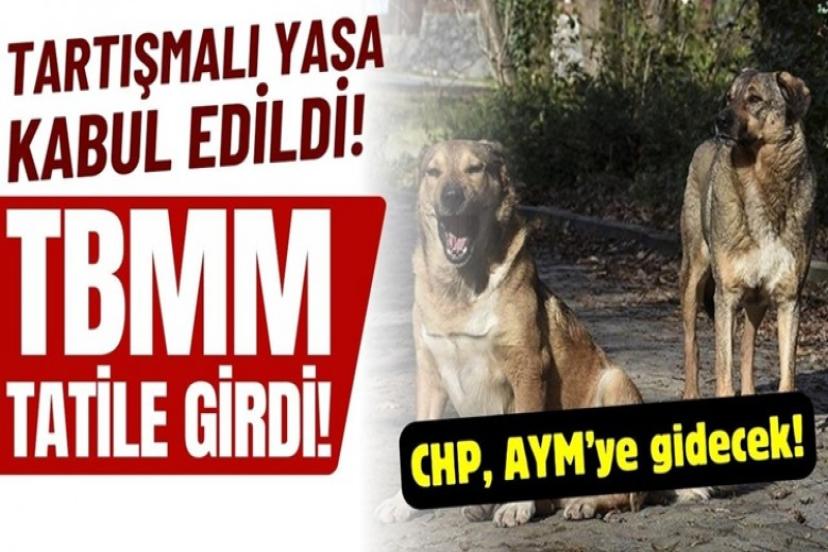 Yasalaşan sokak hayvanları düzenlemesi ile ilgili flaş gelişme!