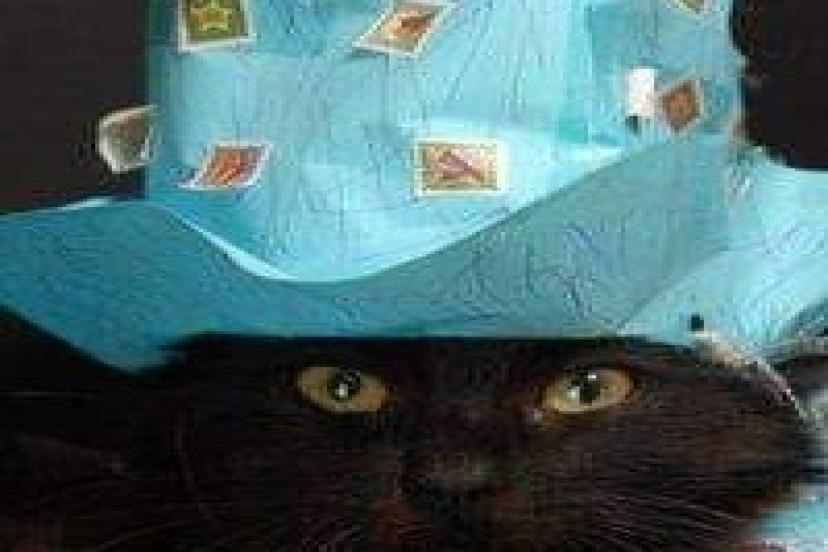Esmer Kedi Cafer